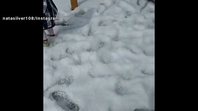 Санкт-Петербург до и после привоза мощей католиками