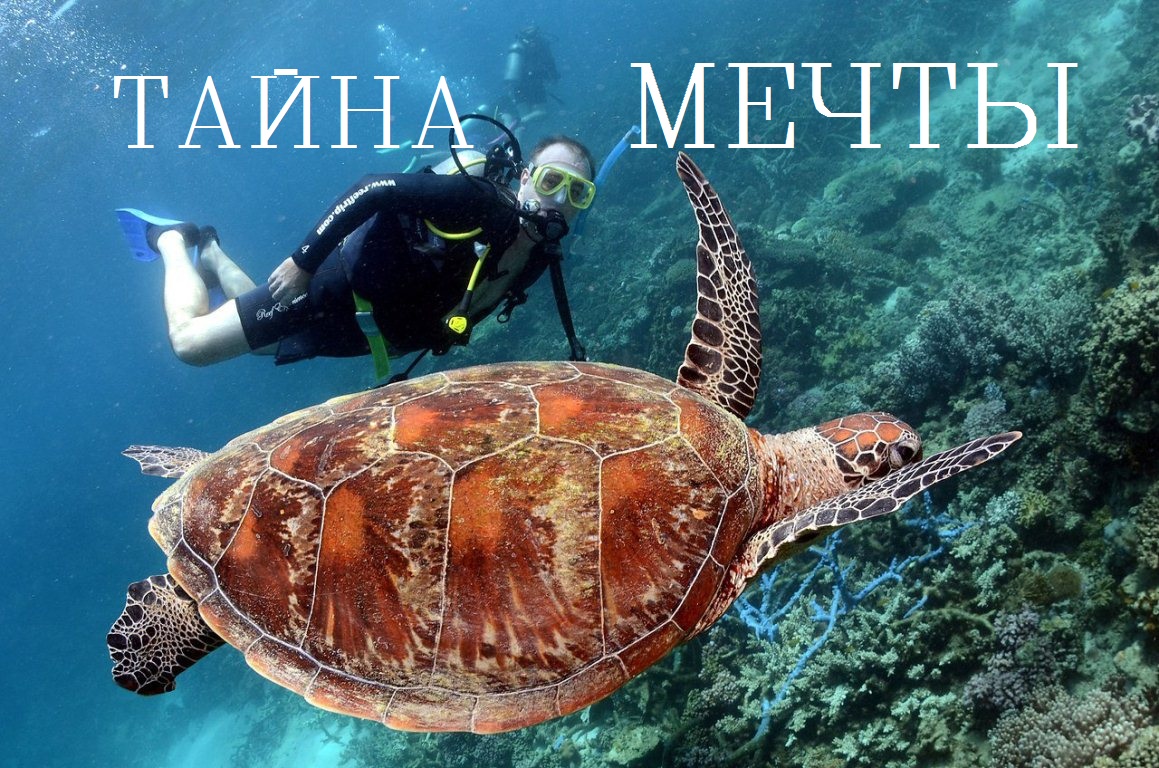 Мечта мотивация/Мотивация идти к своей мечте