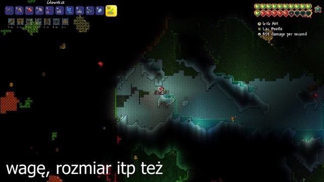 CODE 2 ABSOLUTNIE CZYŚCI... TERRARIA YOYO CLASS