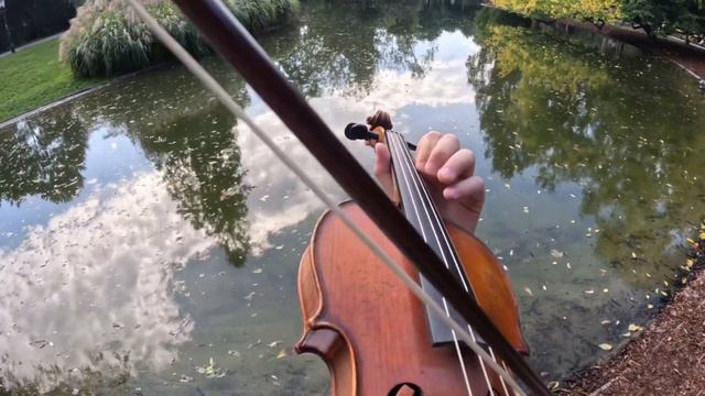 Howl’s Moving Castle - Merry-go-round of Life violin cover by Poviolinist