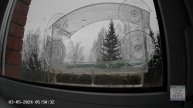Кормушечка 03.05.24