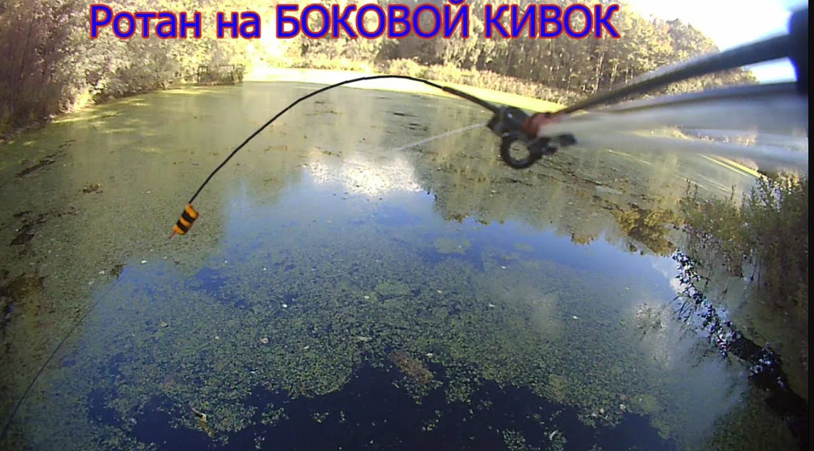 Ловля Ротана. Рыбалка на Озере на Летний Боковой Кивок, Мормышка, насадка Опарыш Fishing angeln