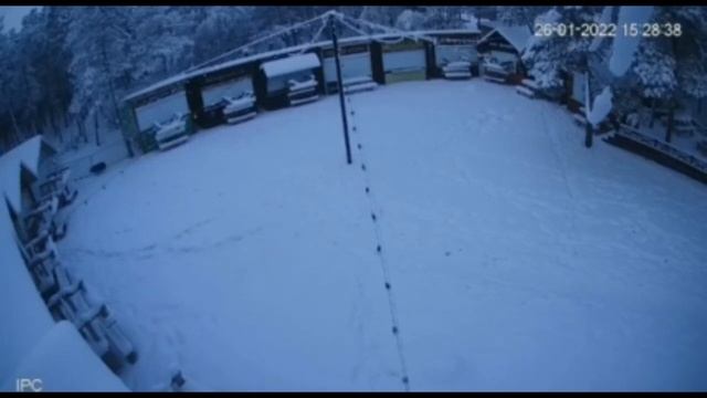 18+  Кто  травил бездомных собак в Якутске?  Видеозаписи с уличных камер наружного наблюдения.