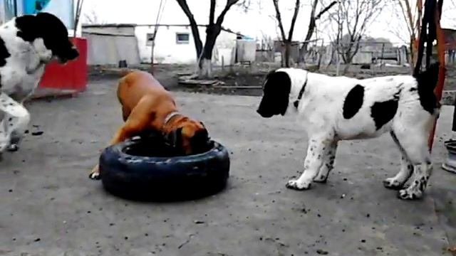 будка..