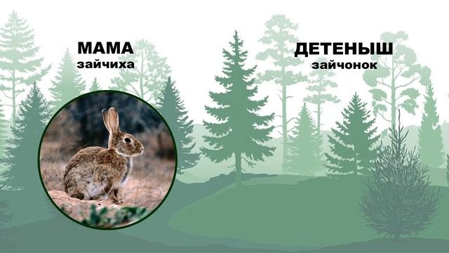 Дикие животные