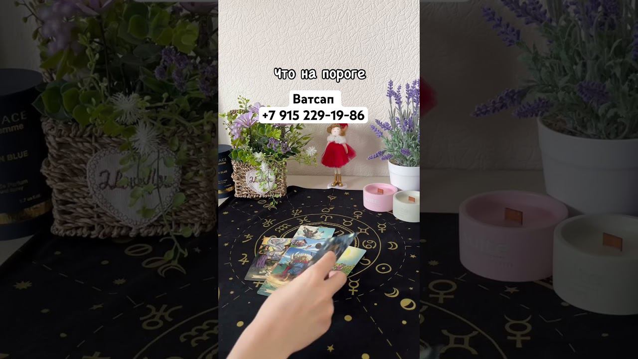 23 июля 2024 г.