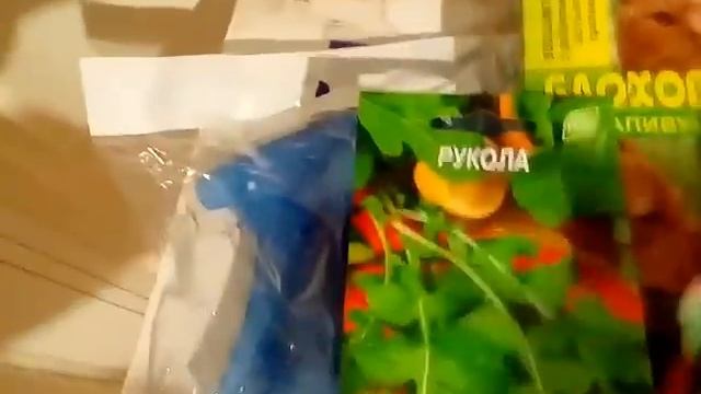 ПОКУПОЧКИ И КОСТЮМЧИК 12.03.2017