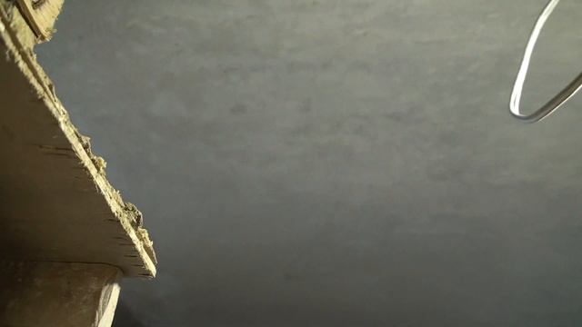ДАЖЕ И НЕ СНИЛОСЬ  МНЕ!!! 30.03.21г.