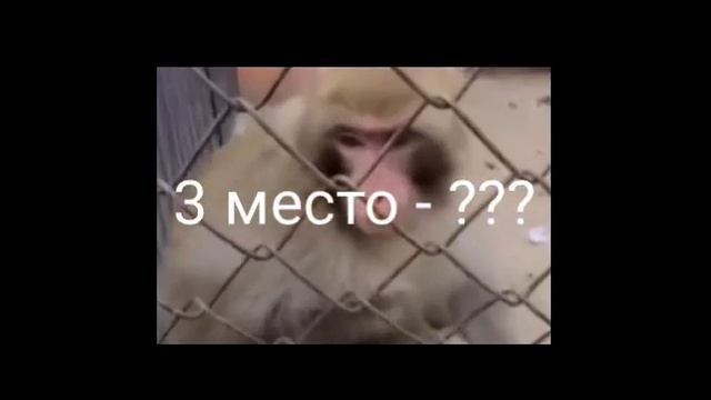 топ 3 трюка для новичка бемеикс BMX шок трюки стониланд дрочка инкогнито