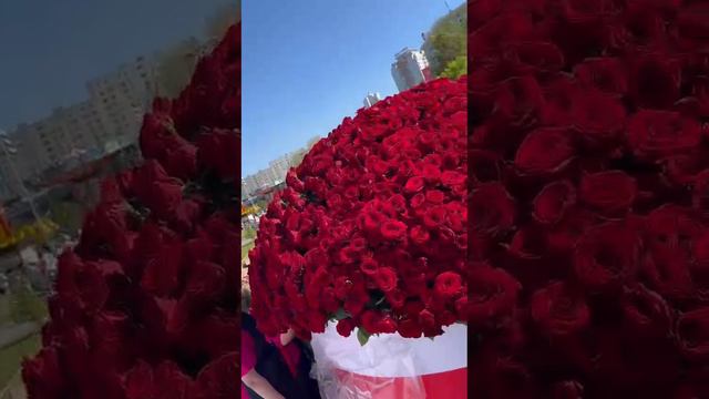 Romantic рекорд  гинеса 10.000 роз в одном букете