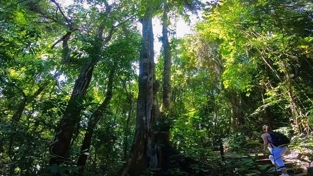 ? ¡Vimos COCODRILOS en Jacó! | Costa Rica 4K