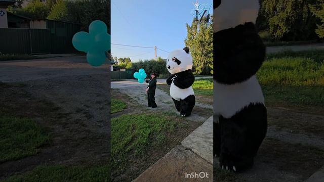 Пандочка🐼.mp4