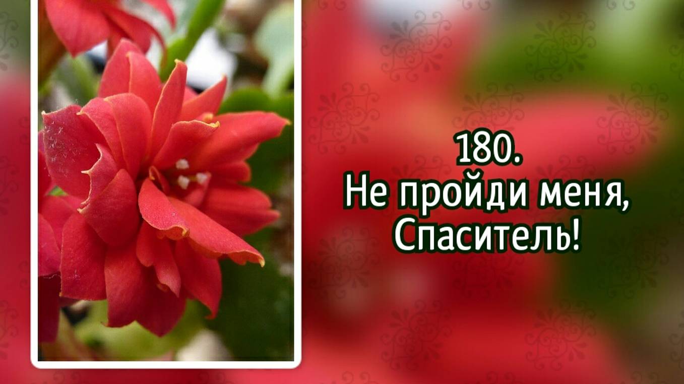 Гимны надежды 180 Не пройди меня, Спаситель! (-)