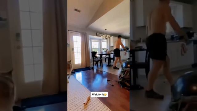 Смешные животные #121 #shorts