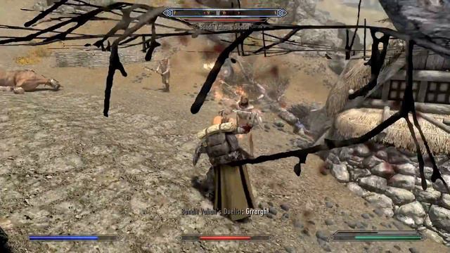 Whiterun Arc Protecting a farm The Elder Scrolls V Skyrim Special Edition 92
