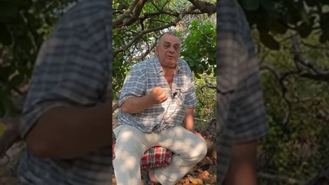 Песчаный колодец. Качество воды в таких колодцах