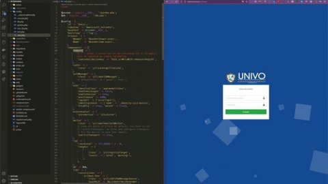 Yii2 RESTAPI con RBAC