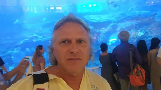 Движение - это жизнь! (5) Покой нам только снится.