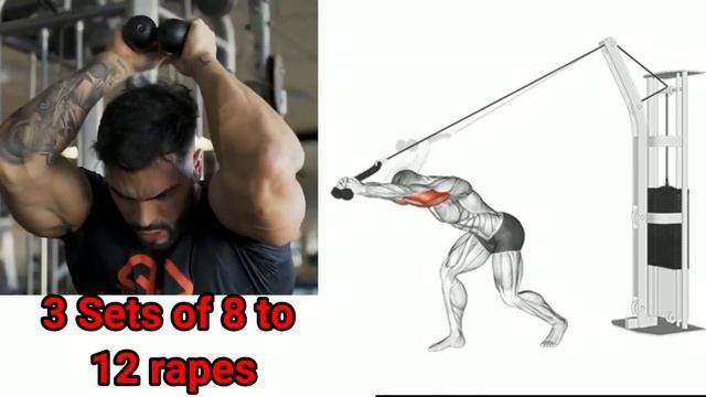 Top 5 Best Triceps Exercises For Building Mass & Strength.