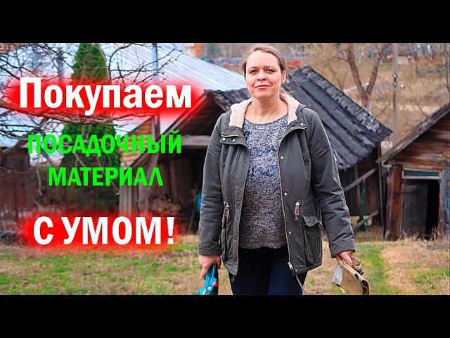 Не покупайте саженцы, пока не посмотрите это видео!