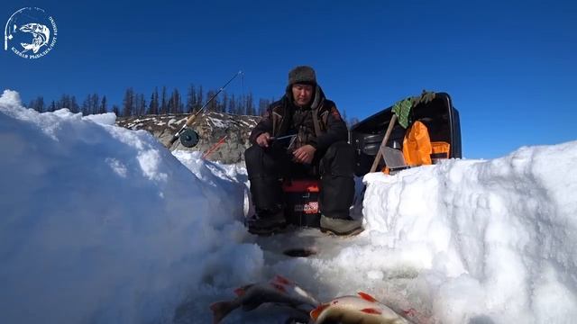 Как мы наловили 4 мешка ГОРБАЧЕЙ за полдня! Yakutia