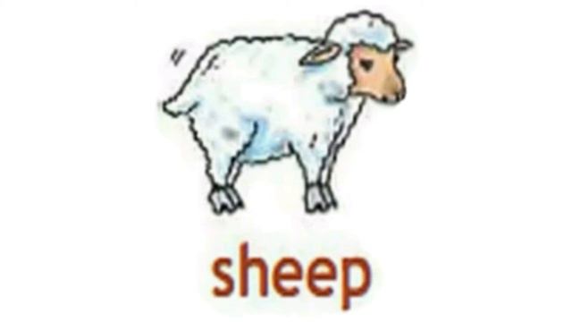 How to Pronounce Sheep in British English
