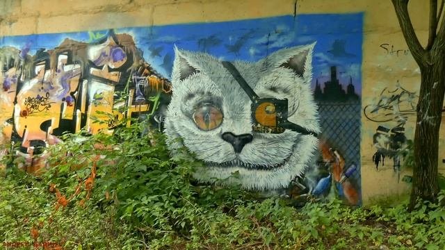 БЕЛОКАМЕННАЯ
