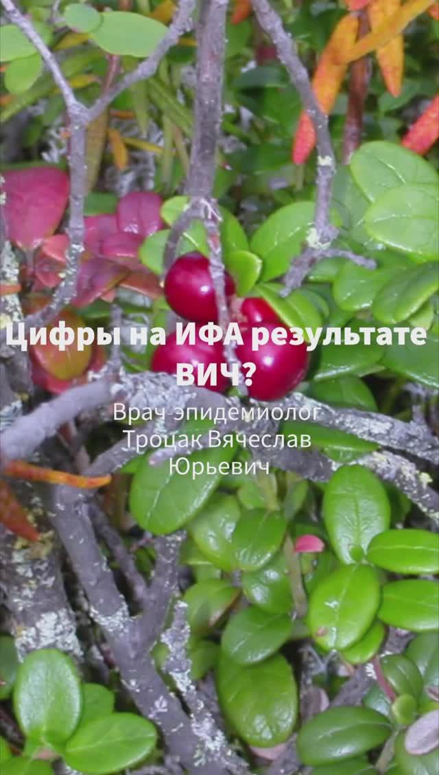 Что означают цифры на результате ИФА анализа на ВИЧ?
