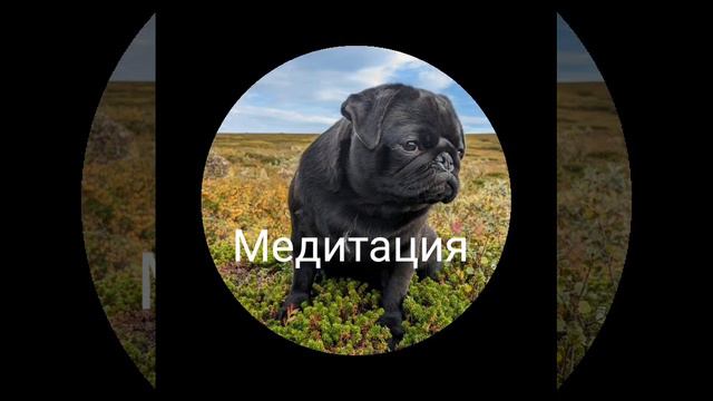 моя игра