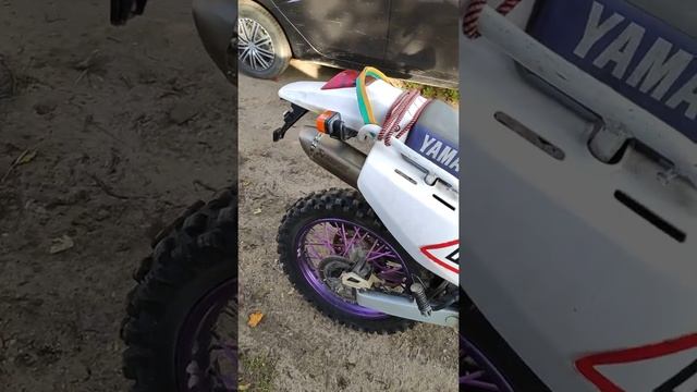 Китайский акрапович yamaha ttr 250