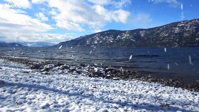 Beautiful Music to Stress Relief and Sleep | Falling Snow  | 10 Minutes