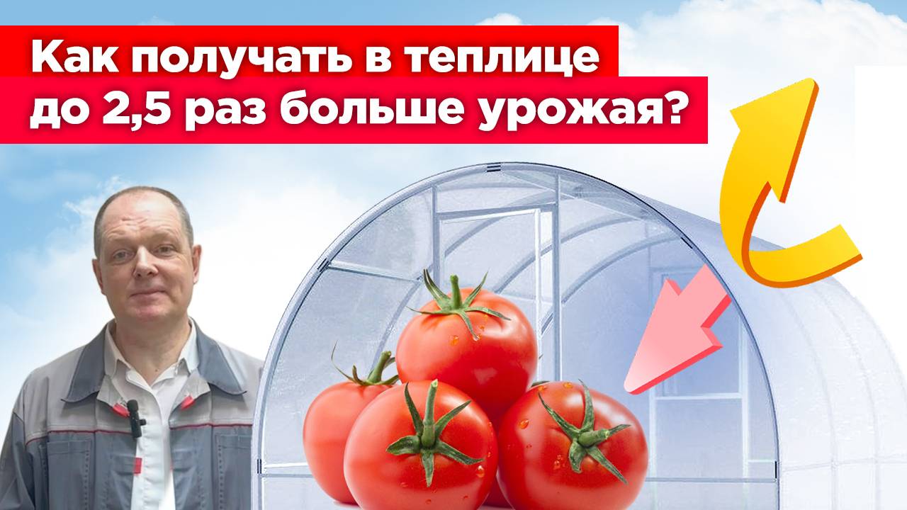 Как получать в теплице до 2,5 раз больше урожая?