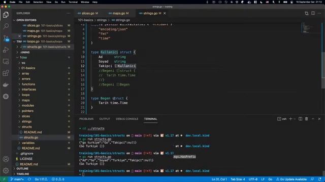 Go Eğitim Kampı - 101 - Go Basics