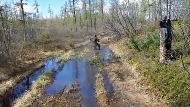 GR-SX150 может
