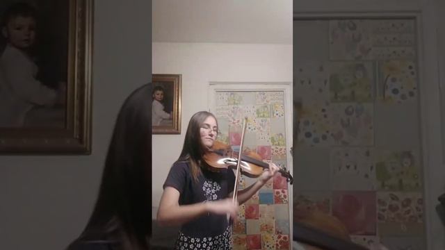 Король и Шут «Лесник» Cover на скрипке🌲