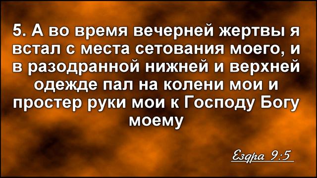 ПРИВЫКАЙТЕ стоять на КОЛЕНЯХ // Даг БАТЧЕЛОР || Христианские проповеди