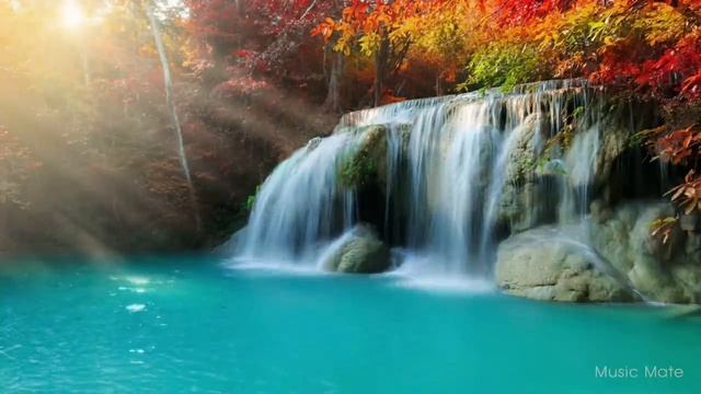 Музыка для учебы и отдыха ☁ Красивая фортепианная музыка - музыка для разучивания: "Relax"