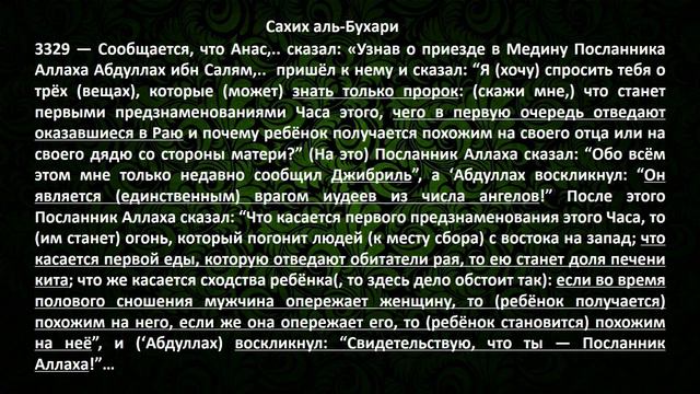 Какой РАЙ в исламе ч: 16