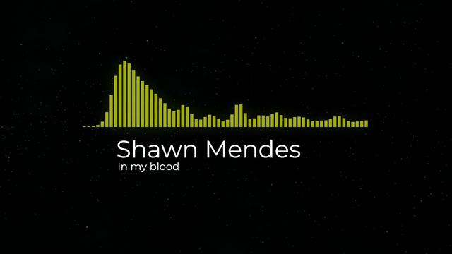 Shawn Mendes - In my blood (Spectrum)