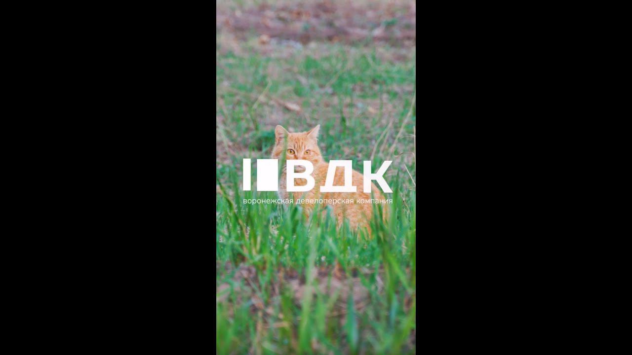 «ВДК» - все самое прекрасное находится рядом с нами