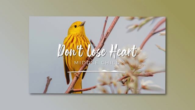 🐤 Royalty free Chill Future Bass Music - 'Don't Lose Heart' by Middle Child 🇺🇸