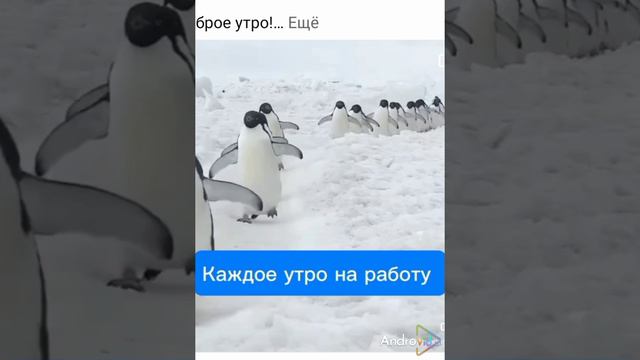 Каждое утро на работу