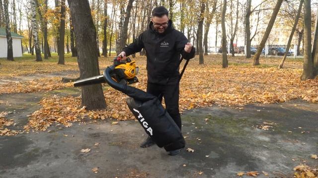 Какую воздуходувку выбрать?  Тестируем воздуходувы Denzel Stiga и Stihl