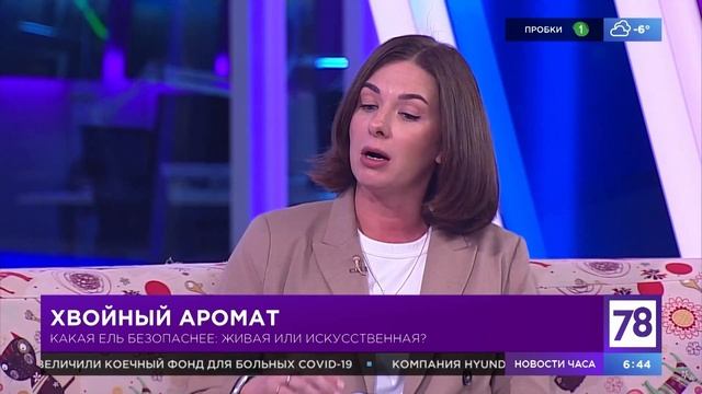 Педиатр, аллерголог Елена Столярова о том, какая ель безопаснее