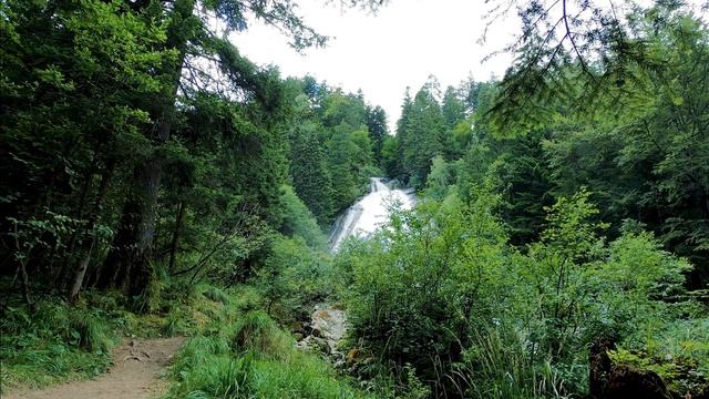 Relaxing Music|Waterfalls|Birds Voice|Meditation