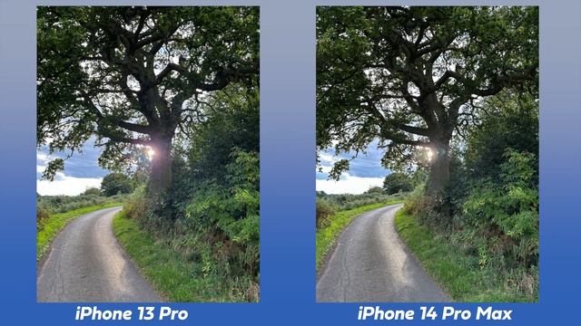 iPhone 14 Pro vs iPhone 13 Pro - Camera Comparison!
