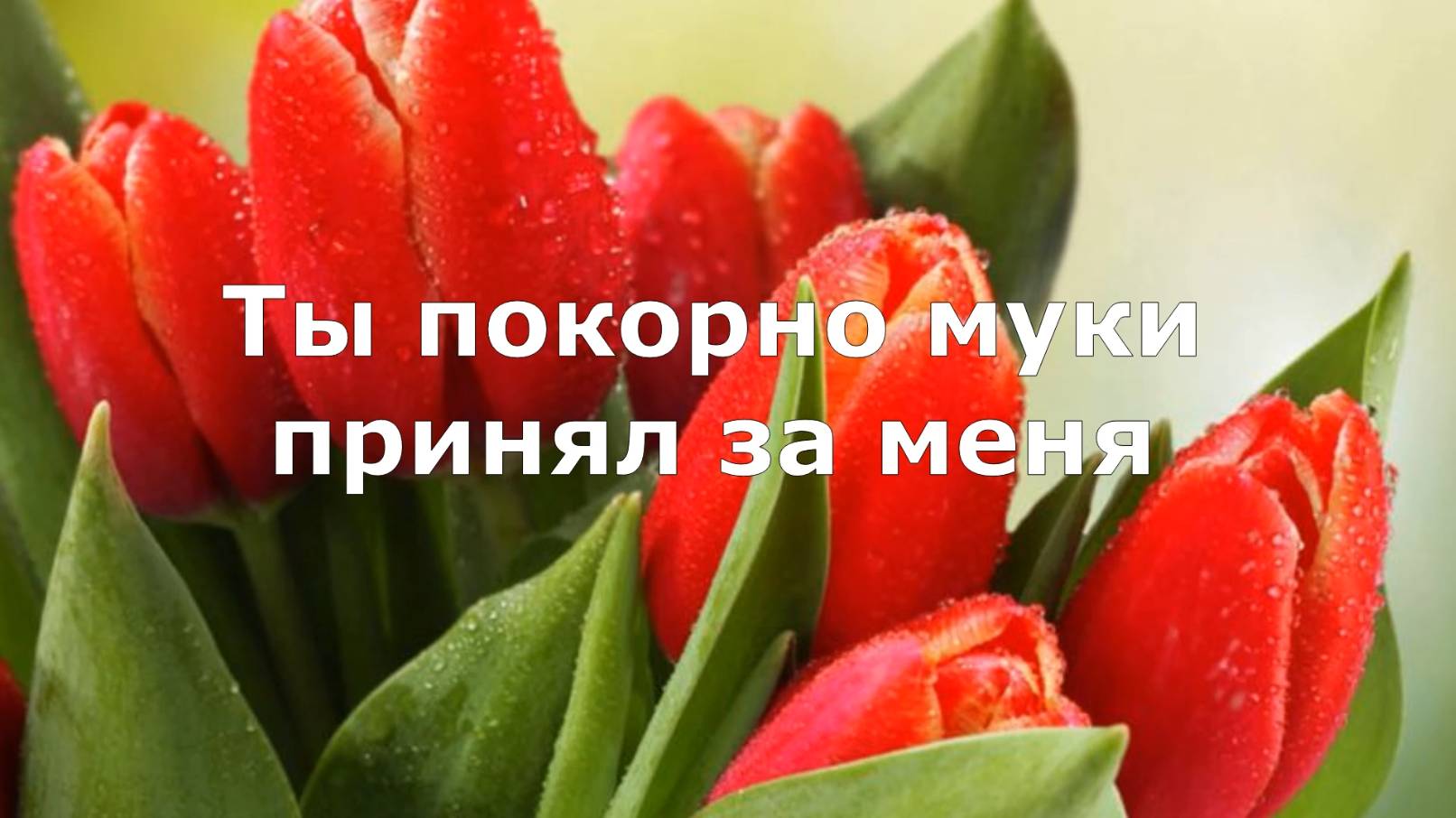 Ты покорно принял муки за меня