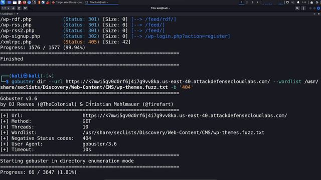 10.6. Enumerating Hidden Files & Sensitive Information