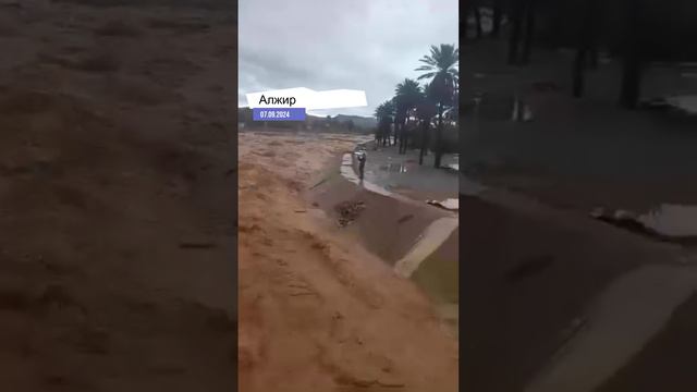 Дожди в Алжире вызвали масштабные наводнения