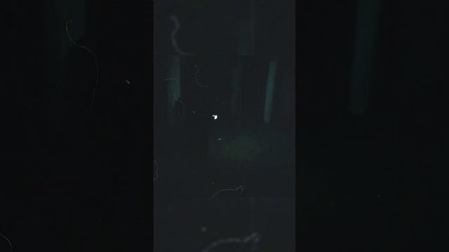ВАМ НЕЛЬЗЯ ПРИКАСАТЬСЯ К НЕМУ